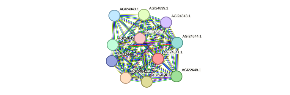 STRING protein interaction network