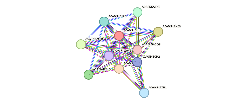 STRING protein interaction network