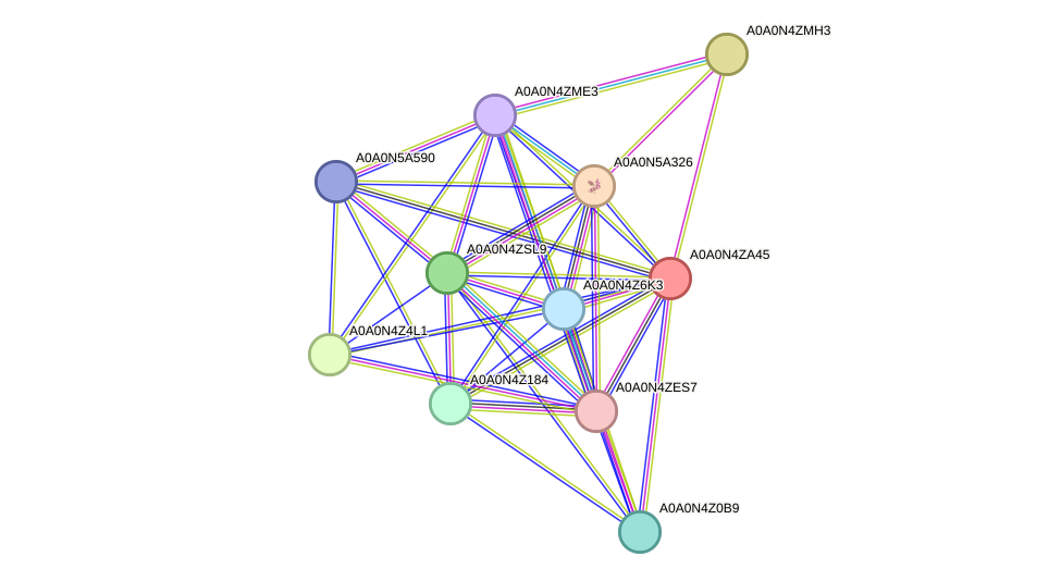 STRING protein interaction network