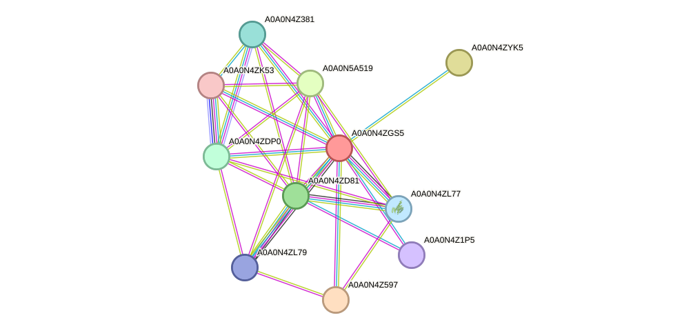 STRING protein interaction network