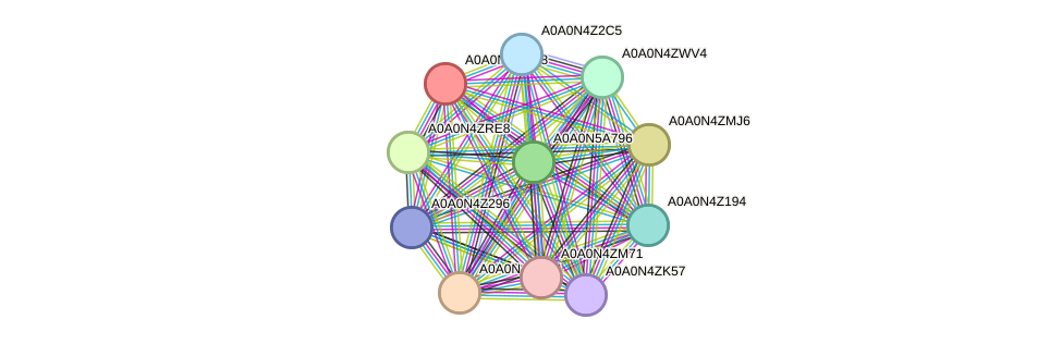 STRING protein interaction network