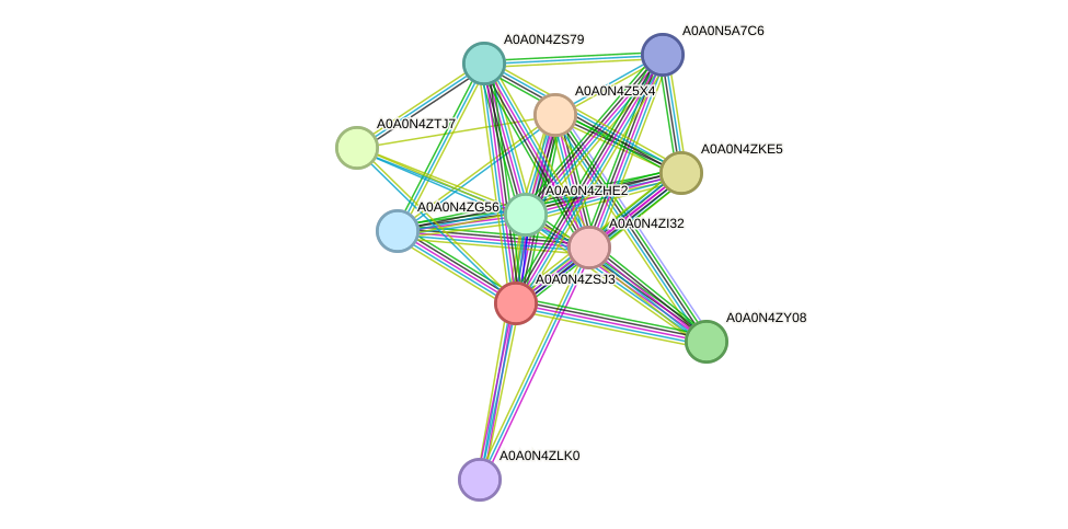 STRING protein interaction network