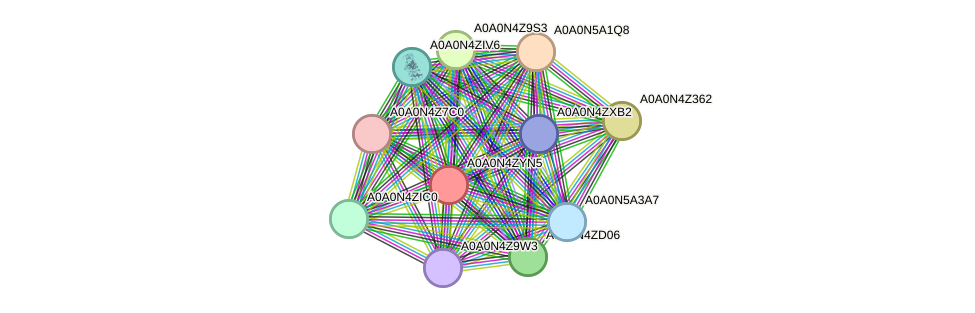 STRING protein interaction network