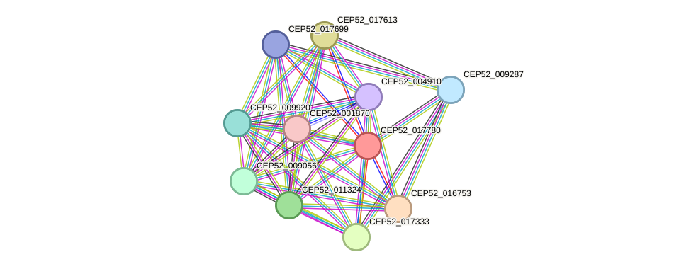 STRING protein interaction network