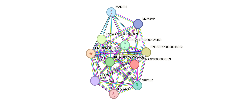 STRING protein interaction network