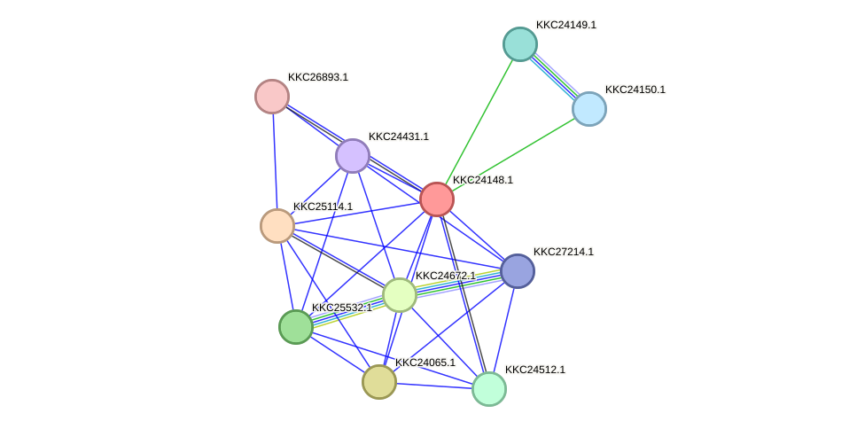 STRING protein interaction network