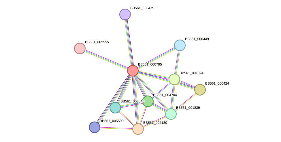 STRING protein interaction network