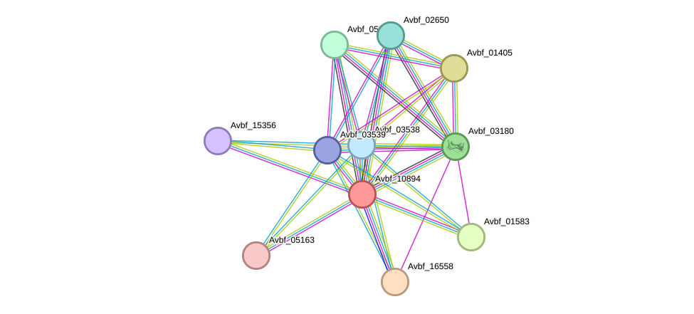 STRING protein interaction network