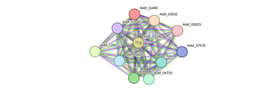 STRING protein interaction network