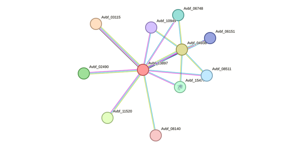 STRING protein interaction network