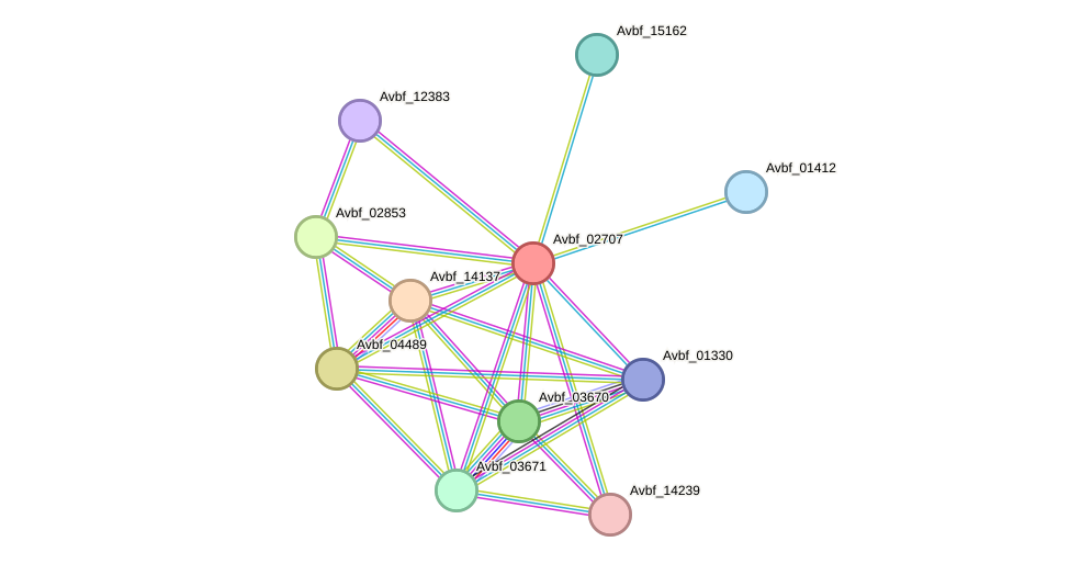 STRING protein interaction network