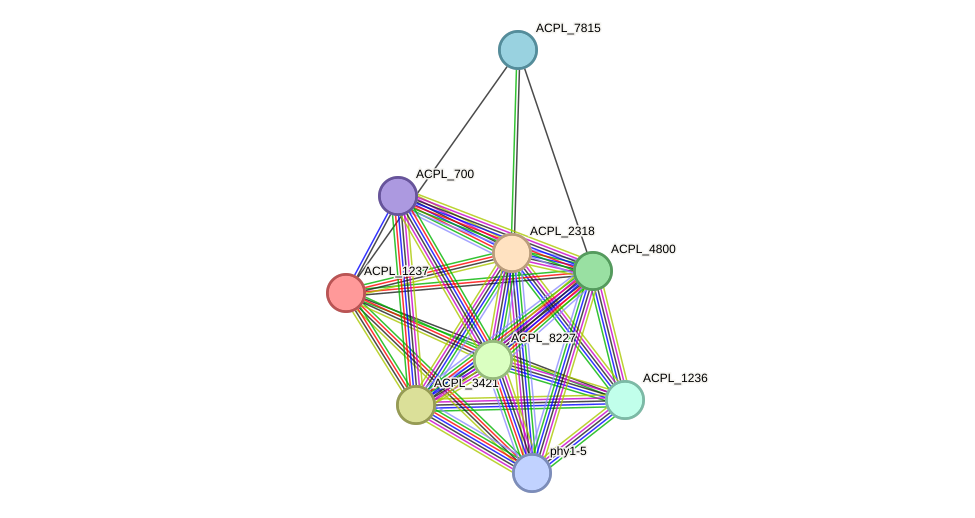STRING protein interaction network