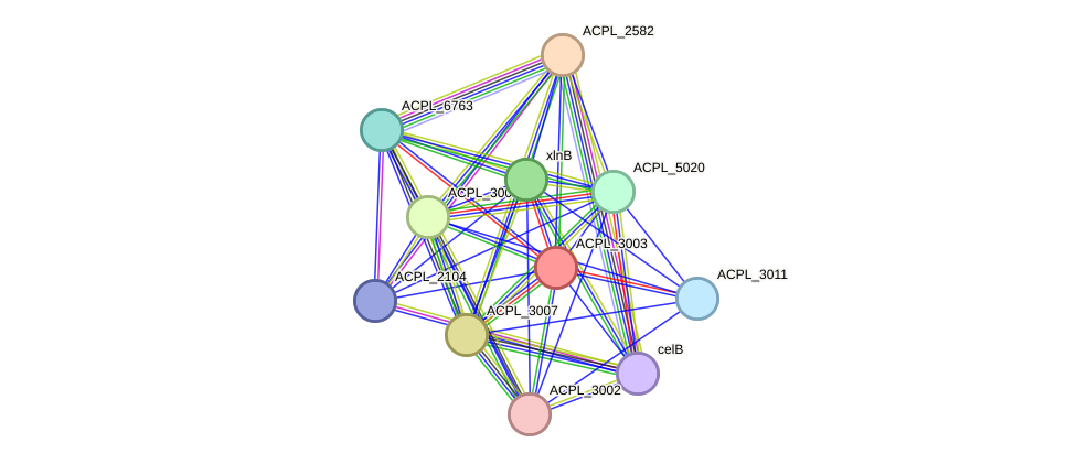 STRING protein interaction network