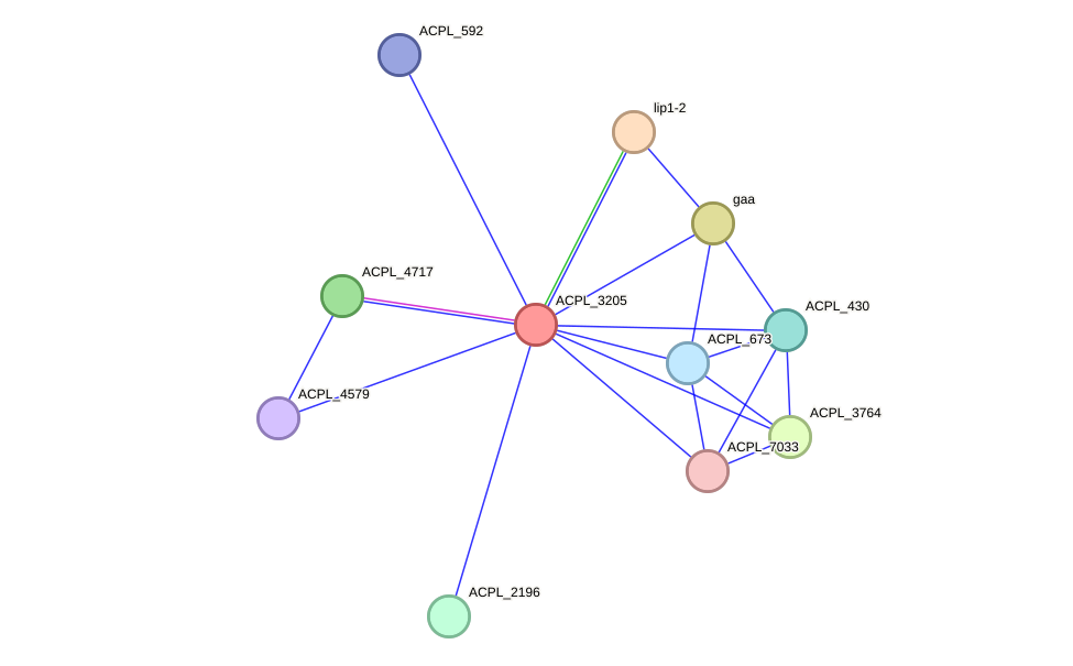 STRING protein interaction network