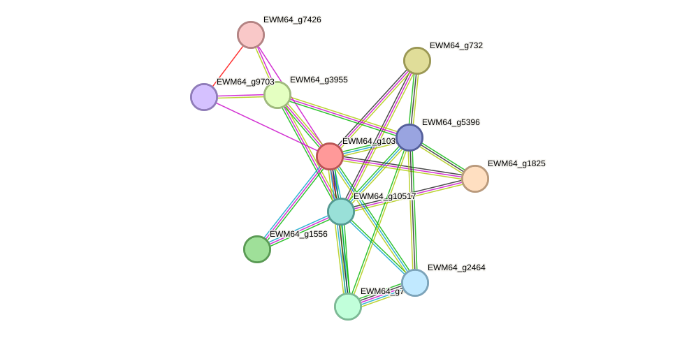 STRING protein interaction network