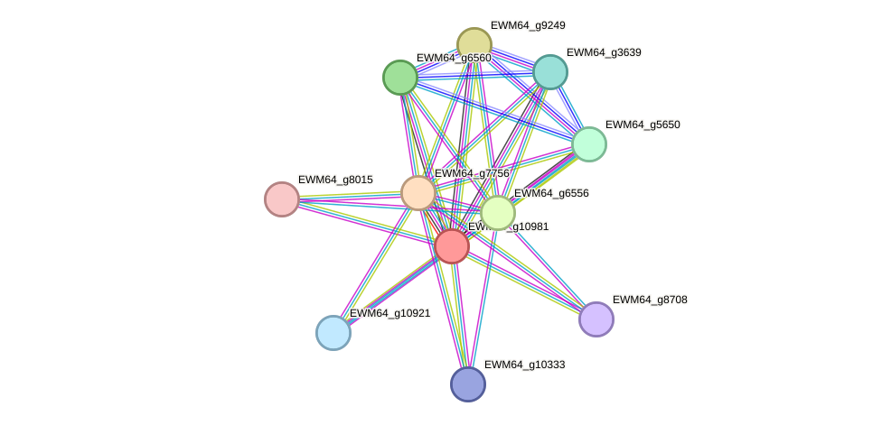 STRING protein interaction network