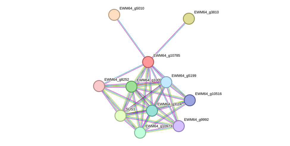 STRING protein interaction network