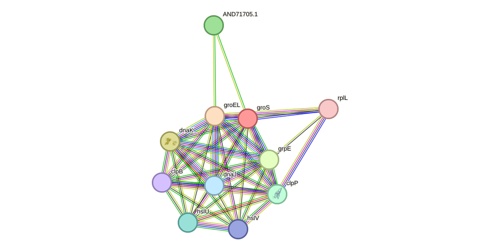 STRING protein interaction network