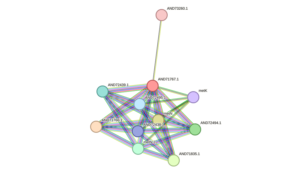 STRING protein interaction network