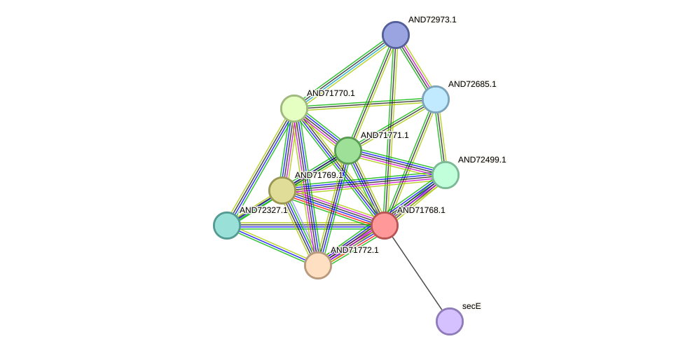 STRING protein interaction network