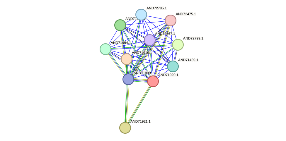 STRING protein interaction network