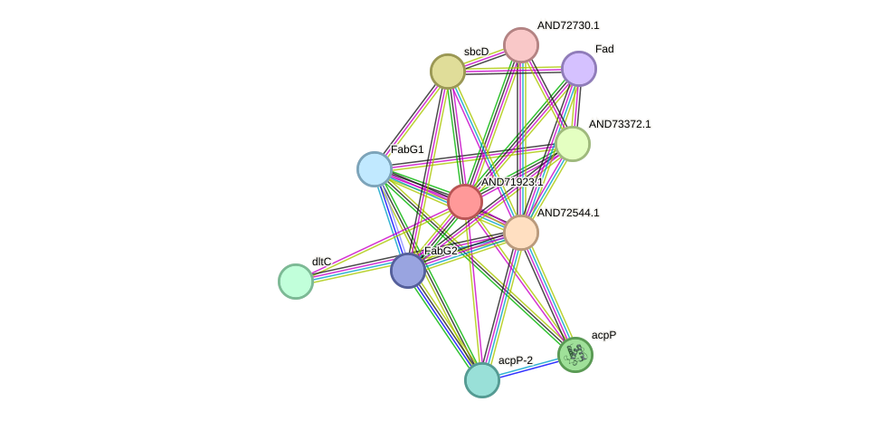 STRING protein interaction network