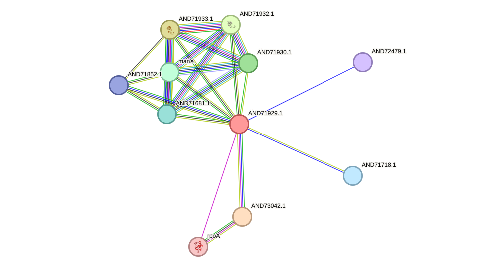 STRING protein interaction network