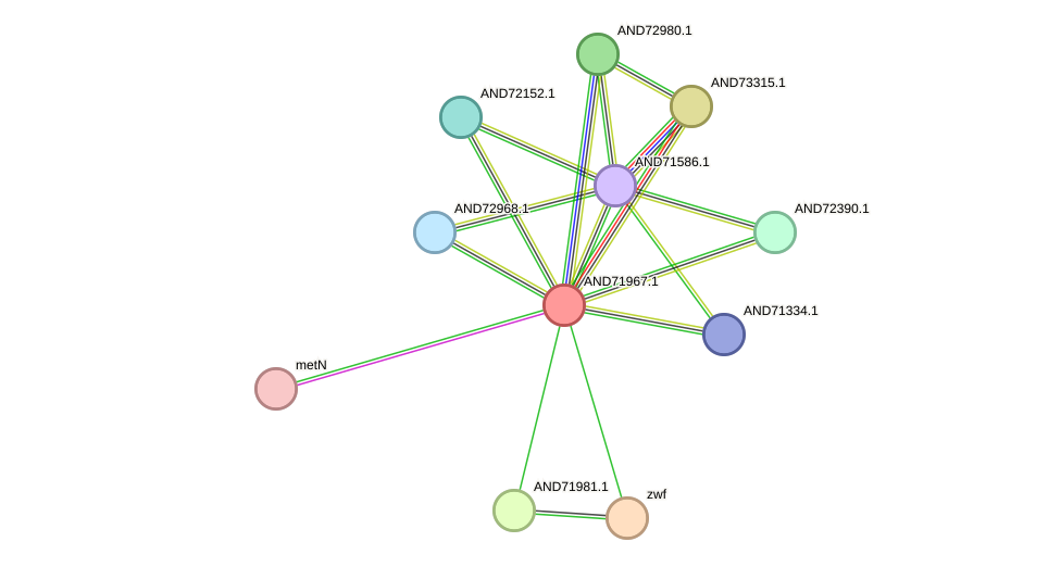 STRING protein interaction network