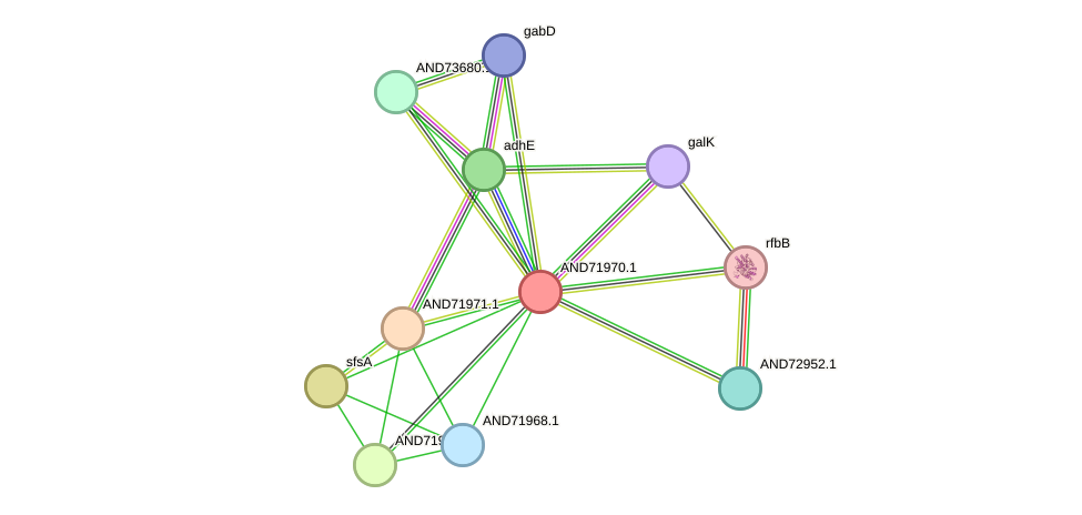 STRING protein interaction network