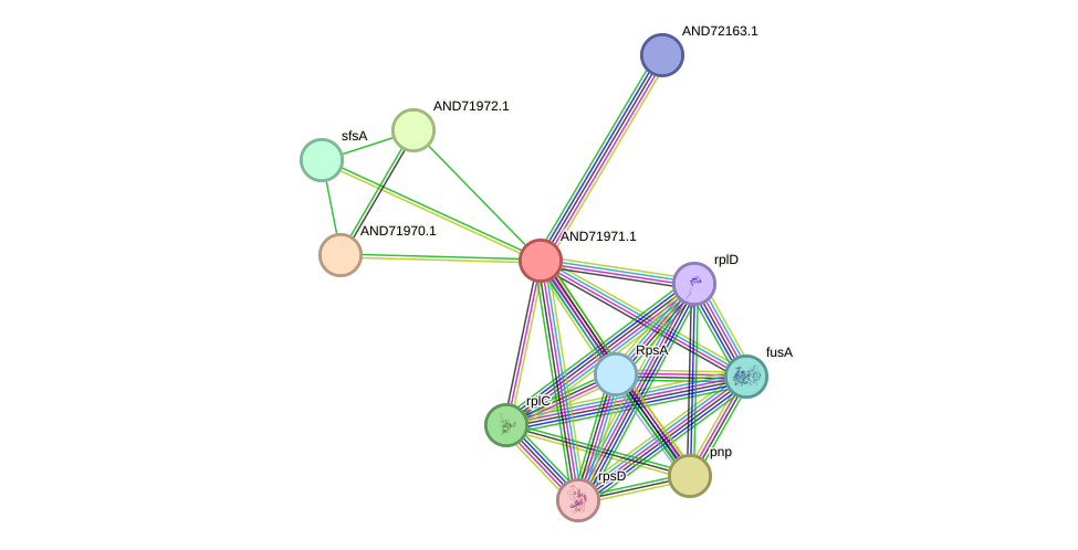 STRING protein interaction network