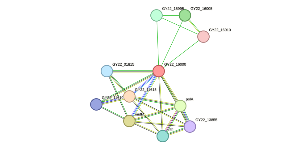 STRING protein interaction network