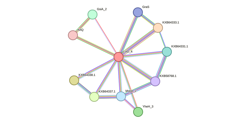 STRING protein interaction network