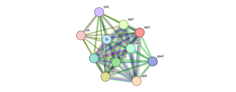 STRING protein interaction network