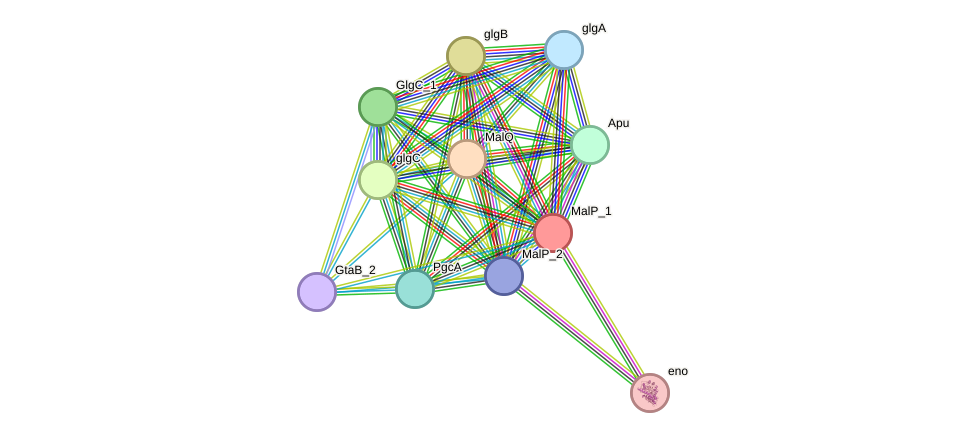 STRING protein interaction network