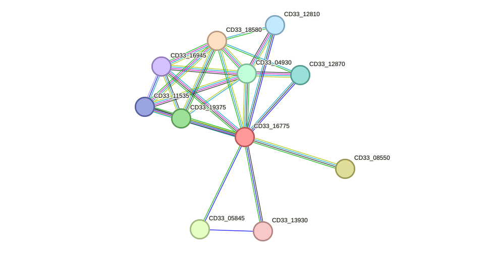 STRING protein interaction network