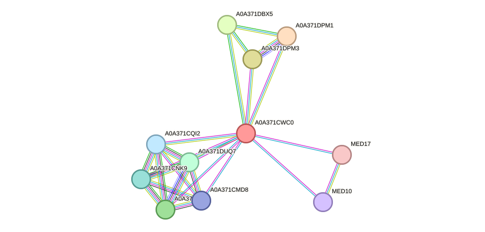 STRING protein interaction network