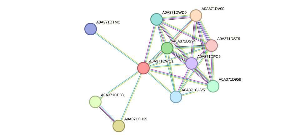 STRING protein interaction network