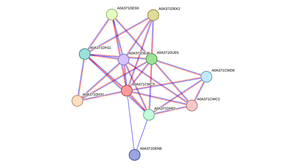 STRING protein interaction network