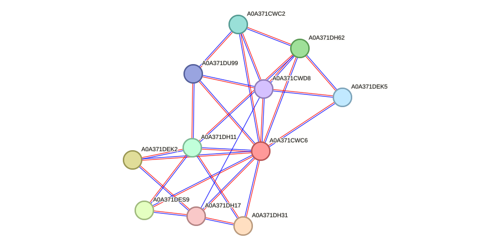STRING protein interaction network