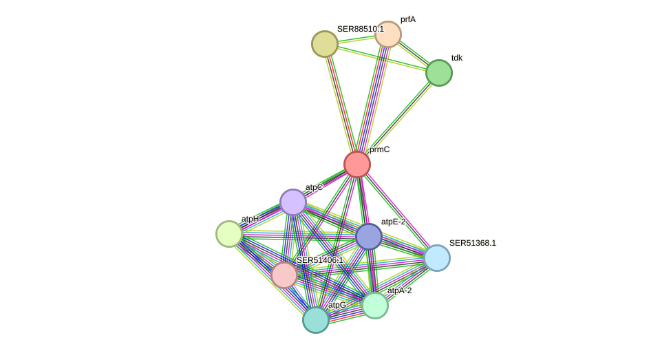 STRING protein interaction network