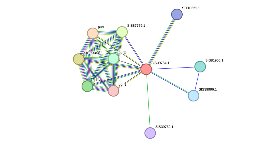 STRING protein interaction network