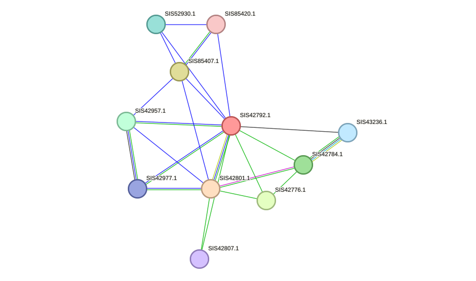 STRING protein interaction network