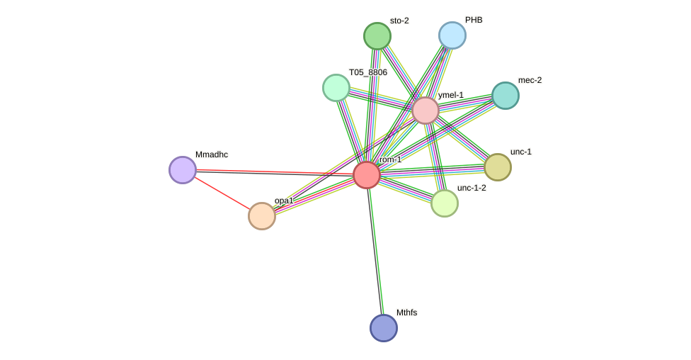 STRING protein interaction network