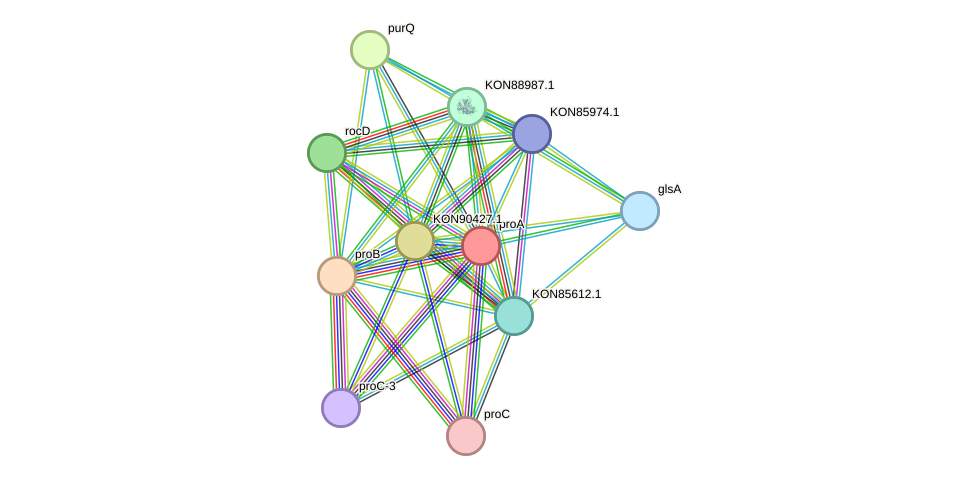 STRING protein interaction network