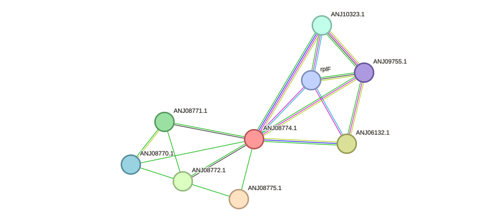 STRING protein interaction network