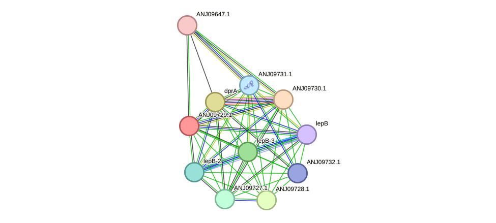 STRING protein interaction network