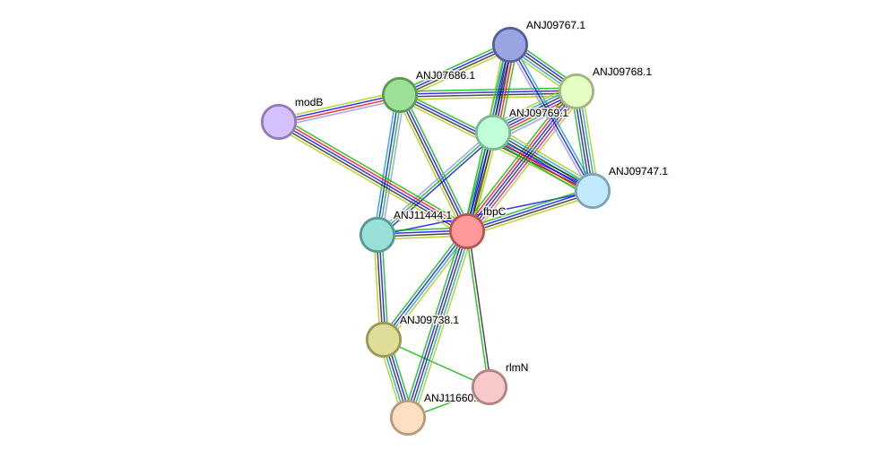 STRING protein interaction network