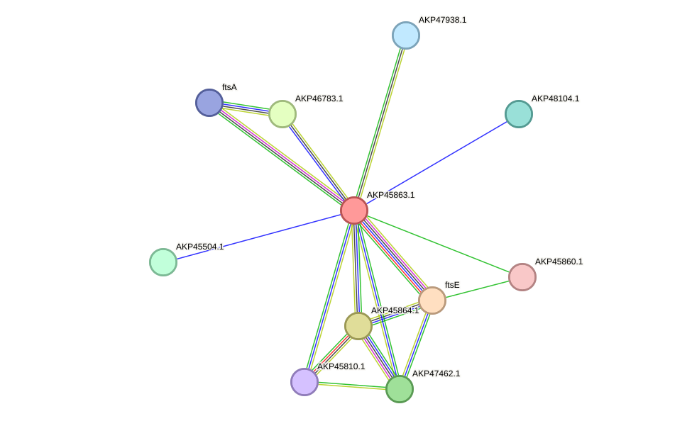 STRING protein interaction network