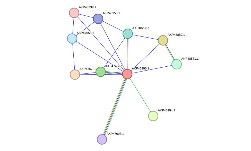 STRING protein interaction network