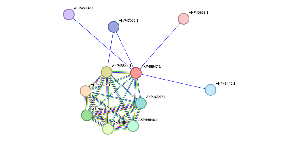 STRING protein interaction network